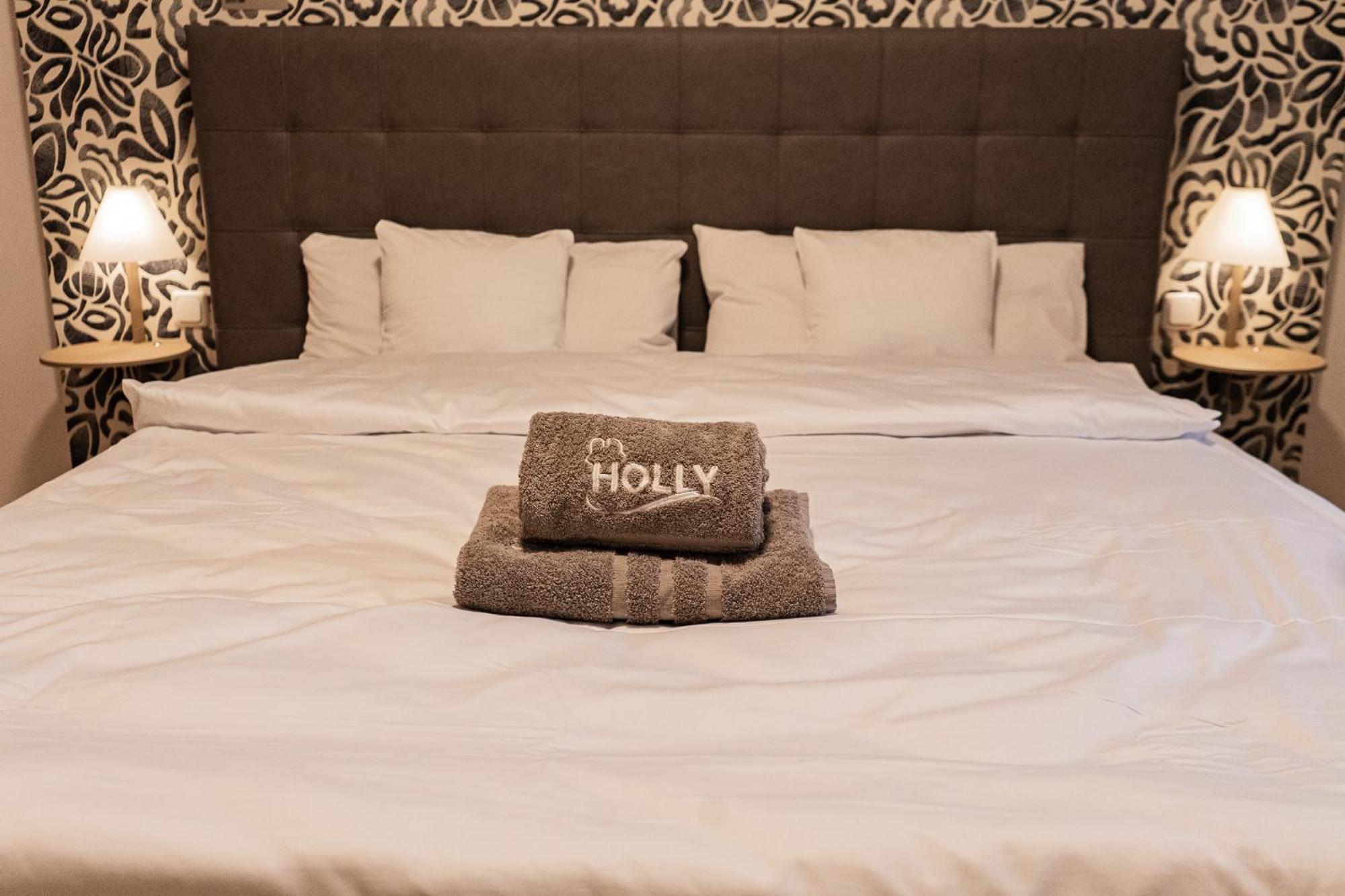 באד אלקסנדרסבאד Holly Gmbh Ferienwohnungen מראה חיצוני תמונה